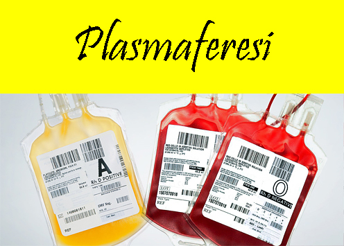 Rubrica - Tipologie di donazione del Sangue - Plasmaferesi