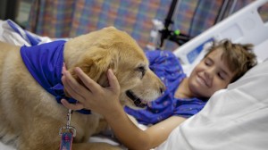 child-life-pet-therapy-canonical