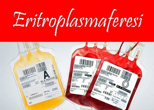 Rubrica - Tipologie di donazione del Sangue - Eritroplasmaferesi