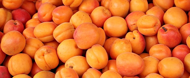 apricots-1422590_640