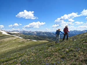 Walking-Mountains-Science-Center-Adult-Hiking-Vail-Colorado_2_WEB