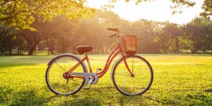 bicycle-on-grassy-field-in-park-royalty-free-image-1589916167